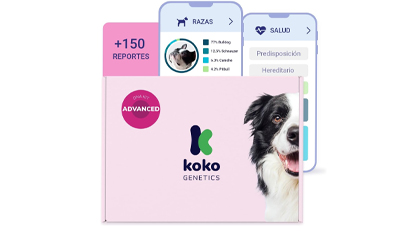 Glucòmetro-veterinarios-kitadn1